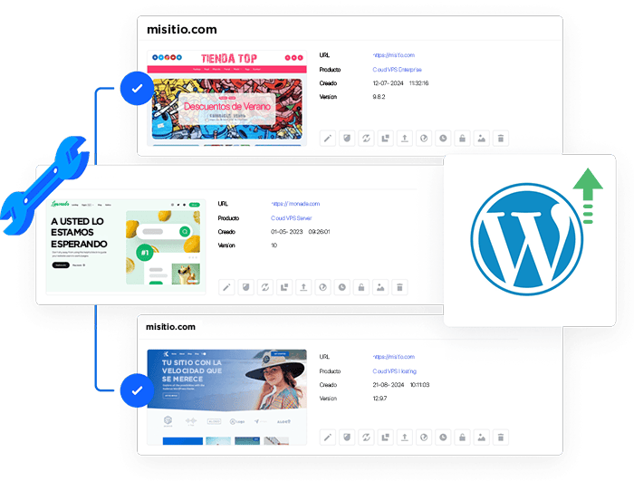Aceleracion wordpress.webp