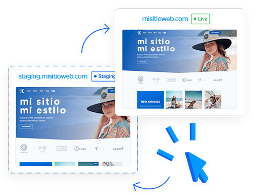 Staging clon sitio pruebas.webp