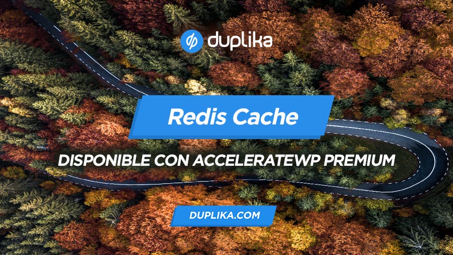 Redis Cache disponible con AccelerateWP Premium