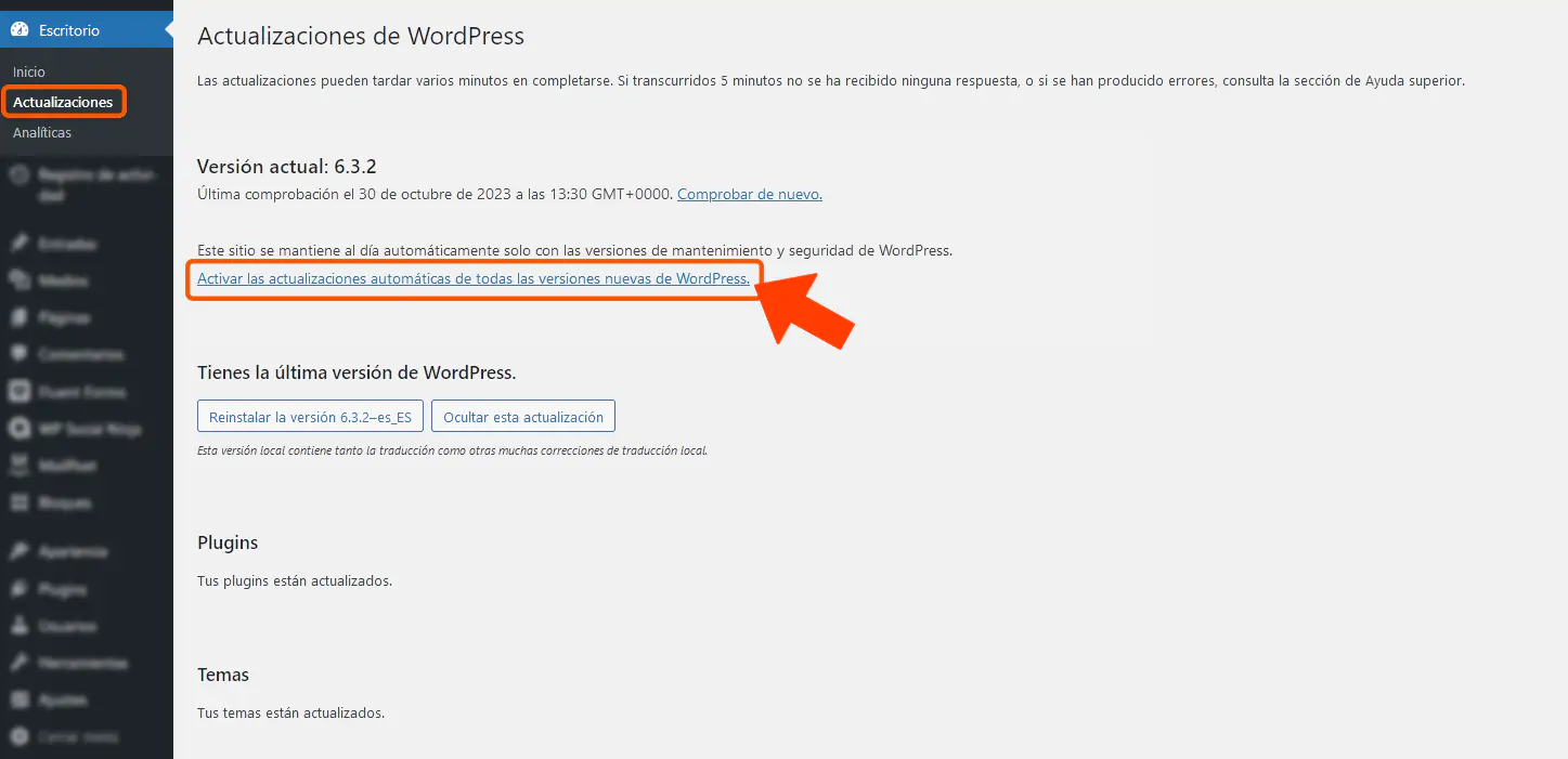 Activar Actualizaciones Automaticas Wordpress