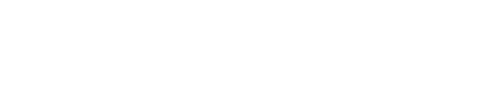 Flatsome logo light