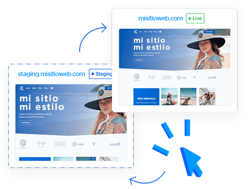 Staging clon sitio pruebas.webp