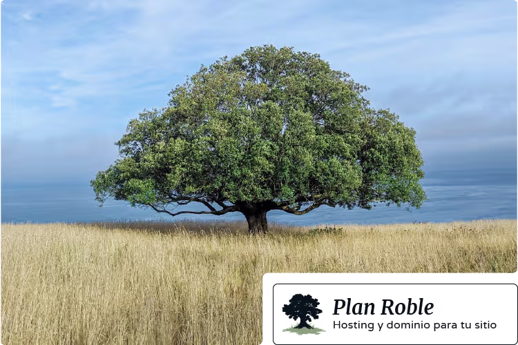 Portada plan roble
